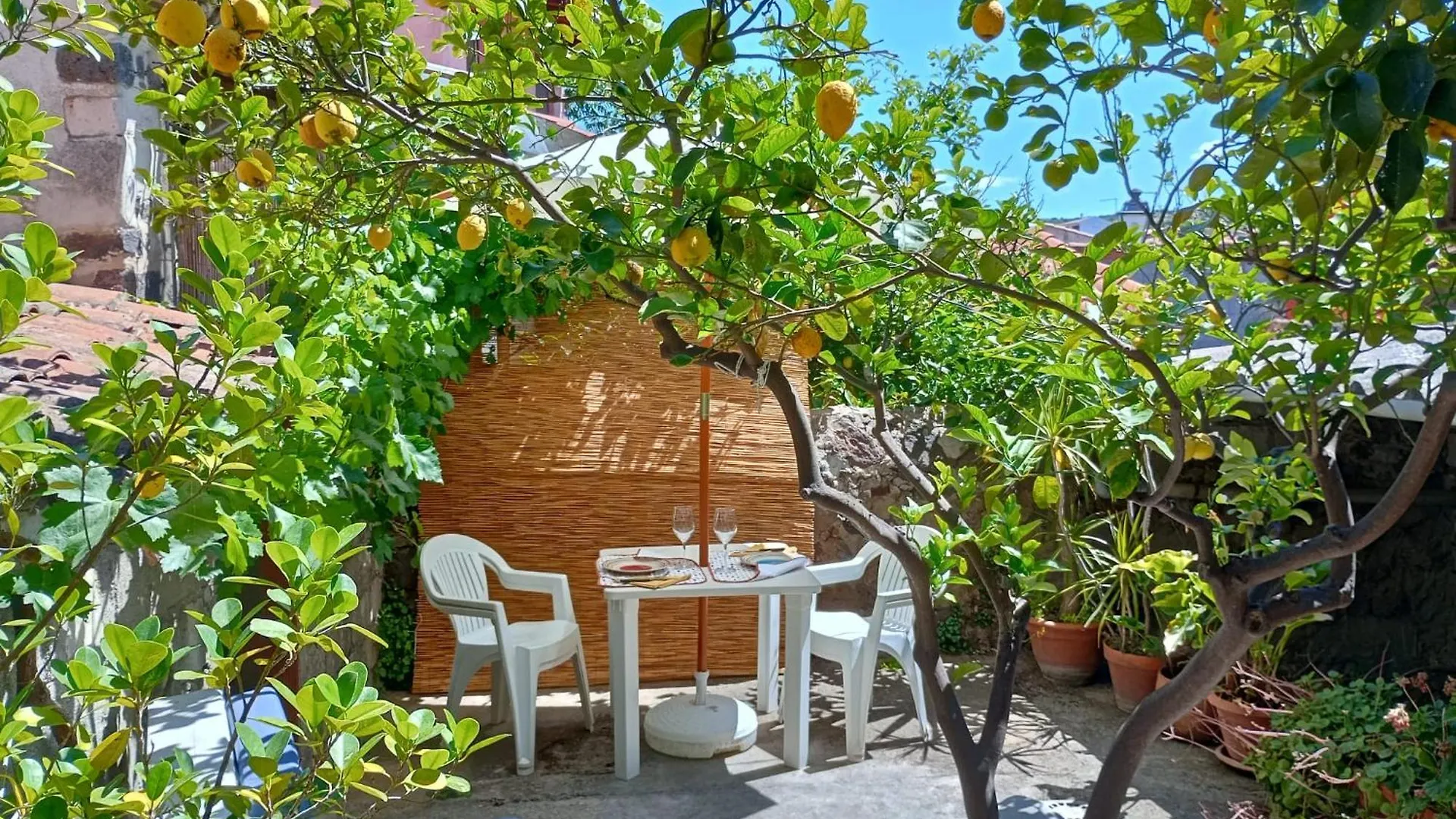 Casa Figus Via Azuni 5 Narbolia Apartment Italy